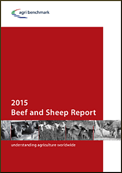 cover beef and sheep report 2015 