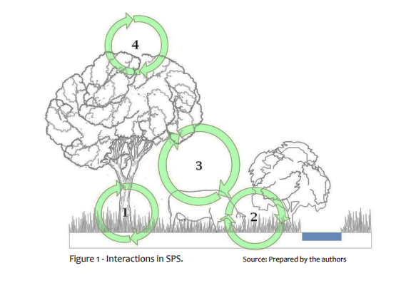 schematic drawing SPS