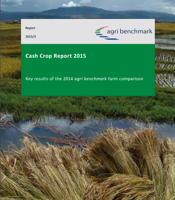 cash crop report 2015