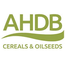 Logo AHDB