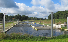Danish trout farm