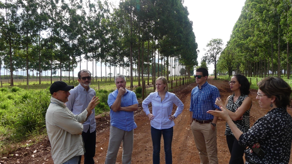 group discussion in the field