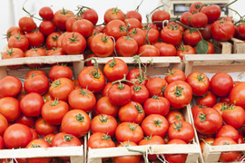 tomatoes