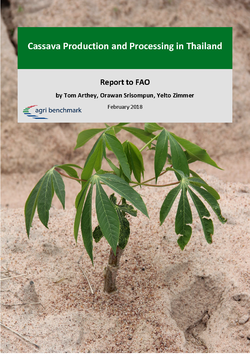 cover cassava report