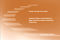 cover pig briefing paper