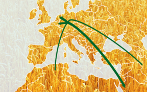 wheat exports germany